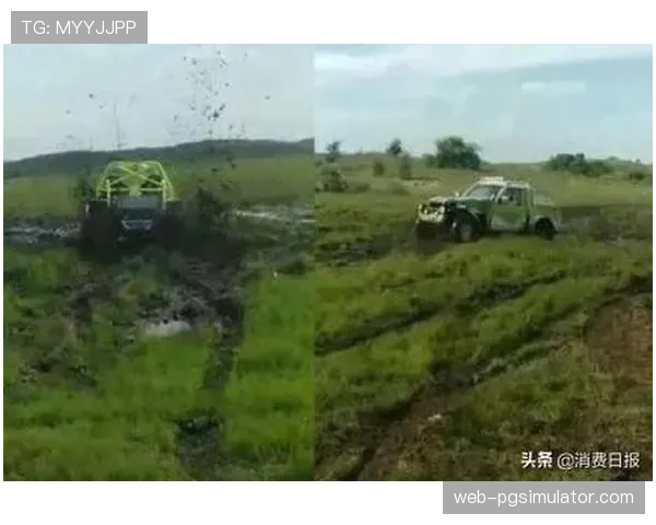 环保争议:阿尔卑斯山新越野步道建设遭环保组织起诉,运动发展与生态如何平衡?